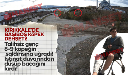 Kırıkkale'de başıboş köpek dehşeti!
