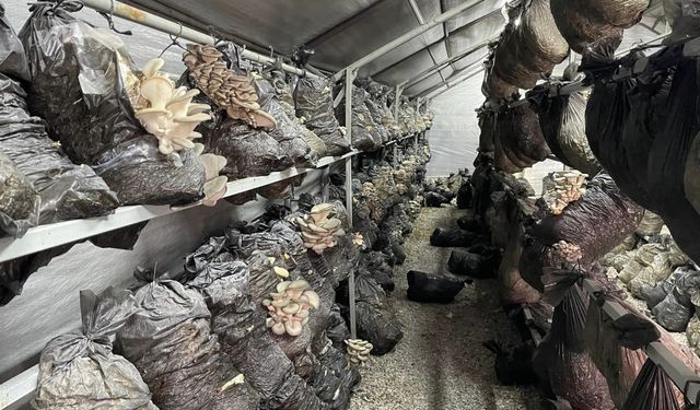 Beyşehir'de mantar üreticileriyle buluşma