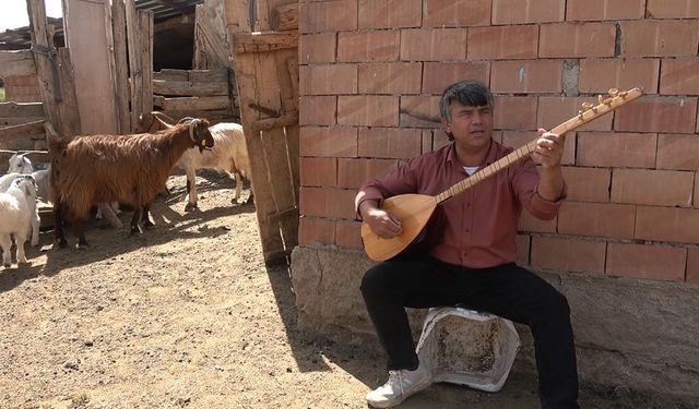 Koyunlarla koro kurdu: O çalıyor, koyunlar eşlik ediyor