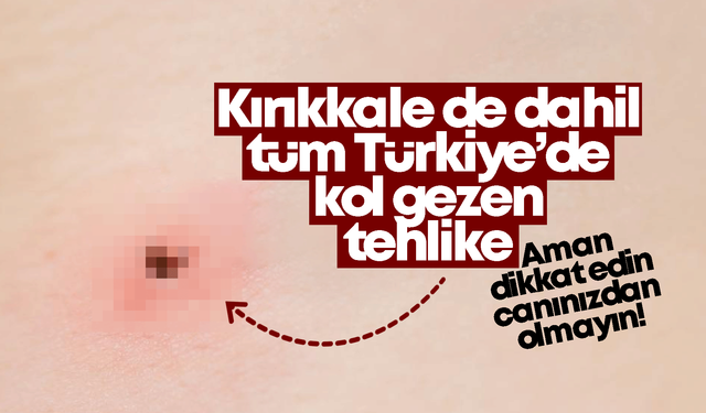 Kırıkkale de dahil tüm Türkiye’de kol gezen tehlike!