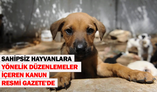 Sahipsiz hayvanlara yönelik düzenlemeler içeren kanun Resmi Gazete'de