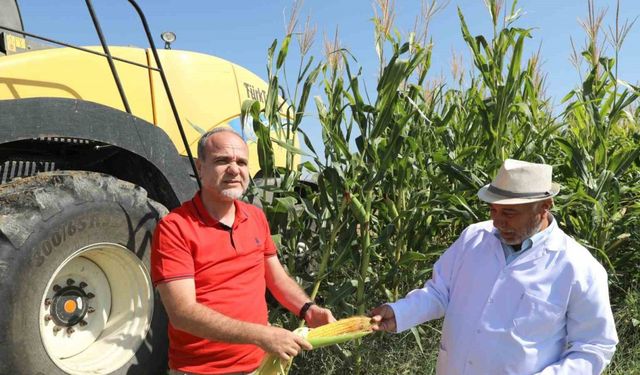 Üreten Üniversite NÖHÜ’de mısır hasadı başladı