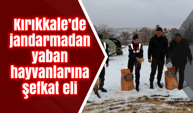 Kırıkkale’de jandarmadan yaban hayvanlarına şefkat eli