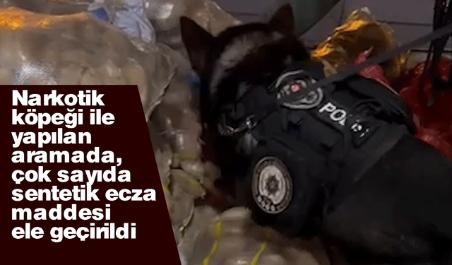 Narkotik köpeği ile yapılan aramada çok sayıda uyuşturucu ele geçirildi