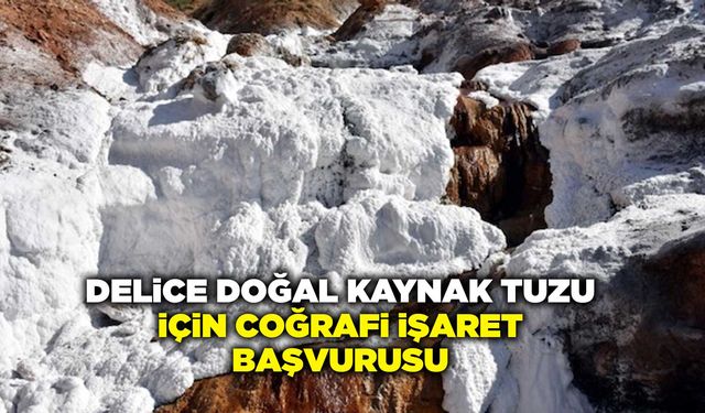 Delice Doğal Kaynak Tuzu için AB coğrafi işaret başvurusu