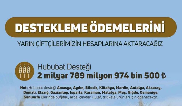 Çiftçilere hububat destek ödemesi yapılacak