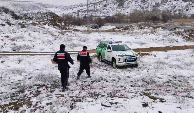 Jandarma ekipleri doğadaki canlıları unutmadı