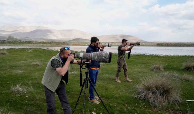 Niğde’nin kuş envanterine yeni bir kuş türü daha eklendi