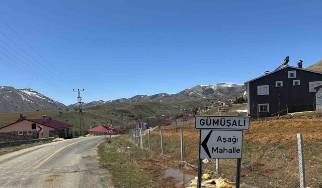 72 yaşındaki adamın ölümüne neden olan köpekler sahipli çıktı