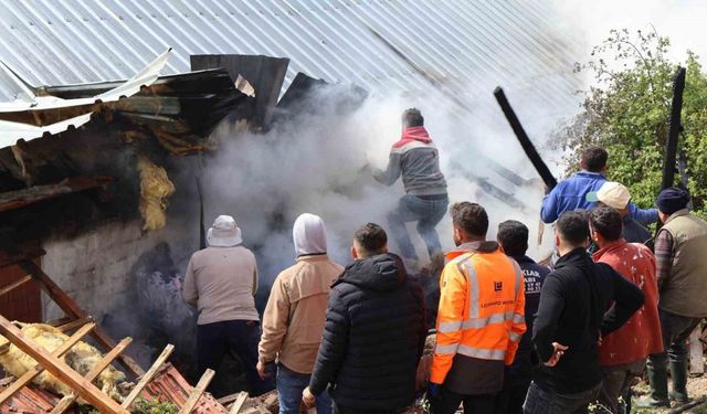 Ahır yandı! Korku dolu anlar