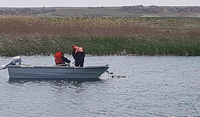 Eskişehir’de istilacı balık türleri ile mücadele