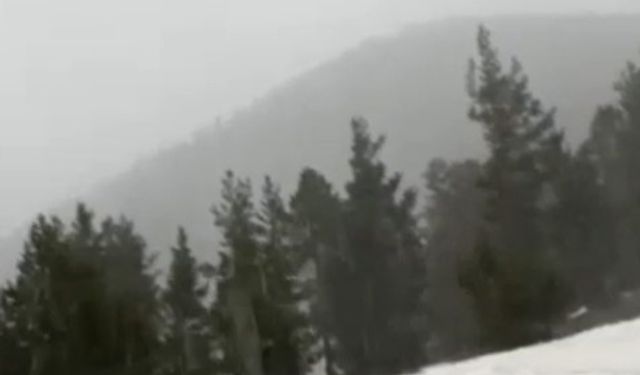 Nisan ayında yağan kar şaşırttı