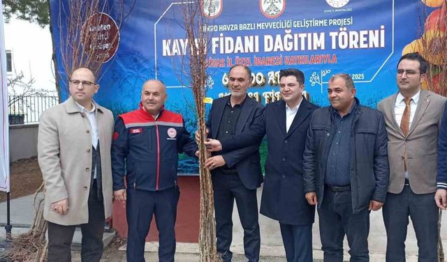 Sivas’ta çiftçilere 50 bin kayısı fidanı dağıtıldı