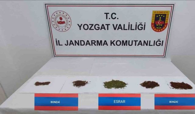 Şüpheli araçta bonzai ve esrar yakalandı
