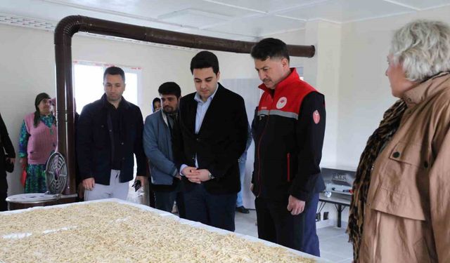 Türkiye’ye ilham veren model