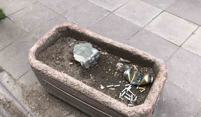 Vatandaşlar ceza ödememek için çözümü saksıda buldu