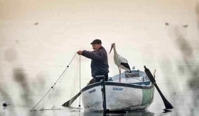 ’Yılın Basın Fotoğrafları’ yarışmasında sonuçlar açıklandı