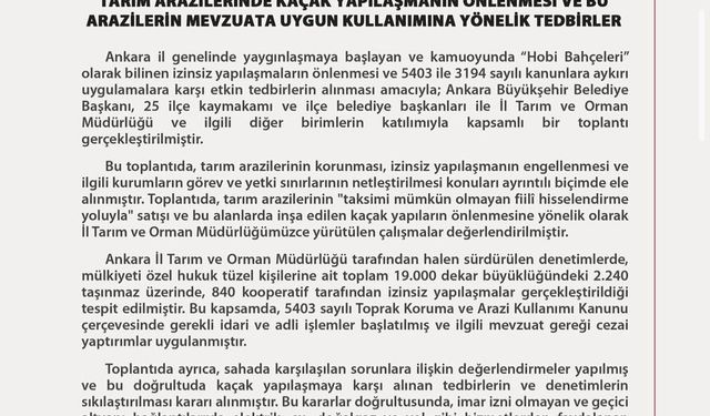 Hobi bahçelerine ilişkin karar: Kaçak yapılara yasak