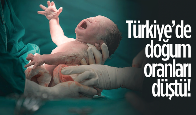 Türkiye'de doğum hızı düşüyor!