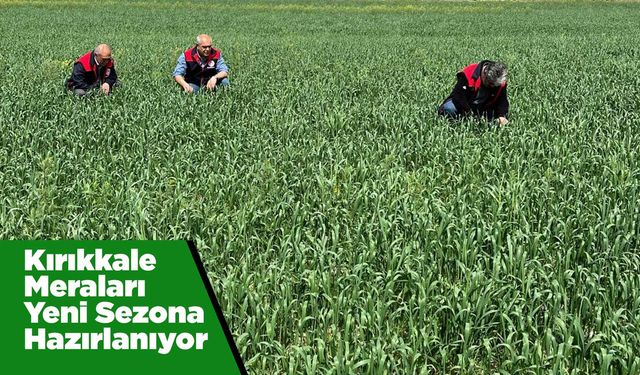 Kırıkkale Meraları Yeni Sezona Hazırlanıyor
