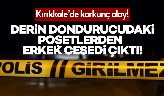 Çilingirle girdiği evde korkunç manzarayla karşılaştı: Derin dondurucularda bulunan poşetlerden erkek cesedi çıktı