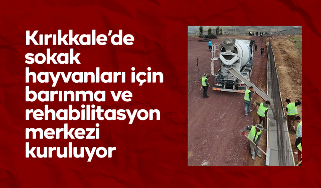 Kırıkkale’de sokak hayvanları için barınma ve rehabilitasyon merkezi kuruluyor