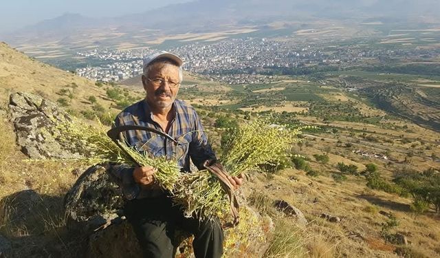 Erciyes’ten gelen şifa kaynağı: Karakovan Balı