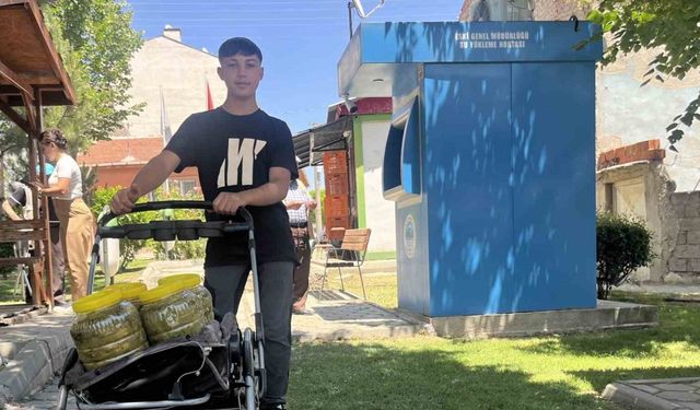 Sokak sokak dolaşıp bebek arabasına yüklediği salamura yaprakları satıyor