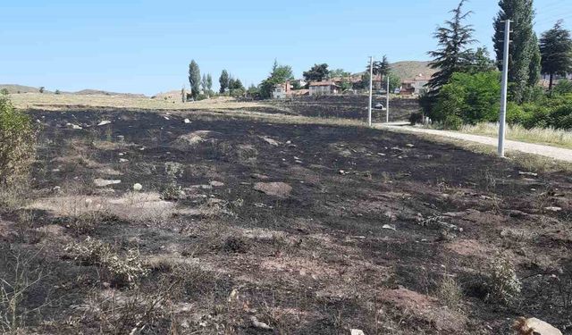 Torpilden çıkan yangında 15 dönümlük arazi kül oldu