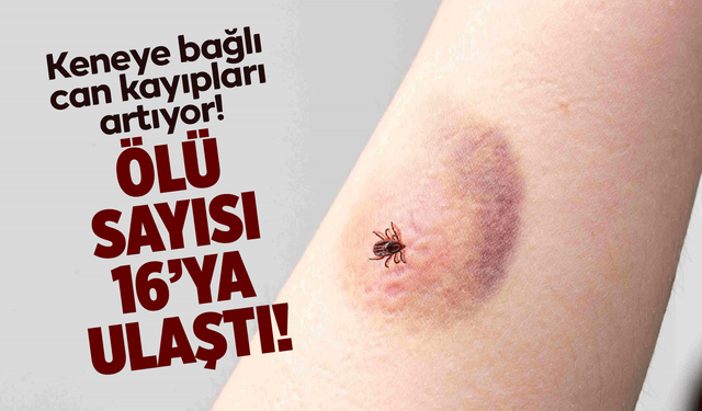 Keneye bağlı can kayıpları artıyor!