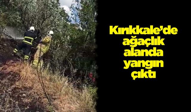 Kırıkkale’de ağaçlık alanda yangın çıktı