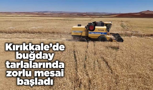 Kırıkkale’de buğday tarlalarında zorlu mesai başladı