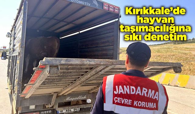 Kırıkkale’de hayvan taşımacılığına sıkı denetim