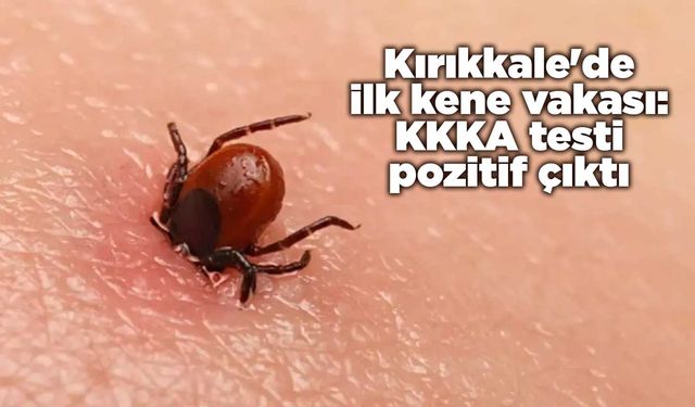 Kırıkkale'de ilk kene vakası: KKKA testi pozitif çıktı