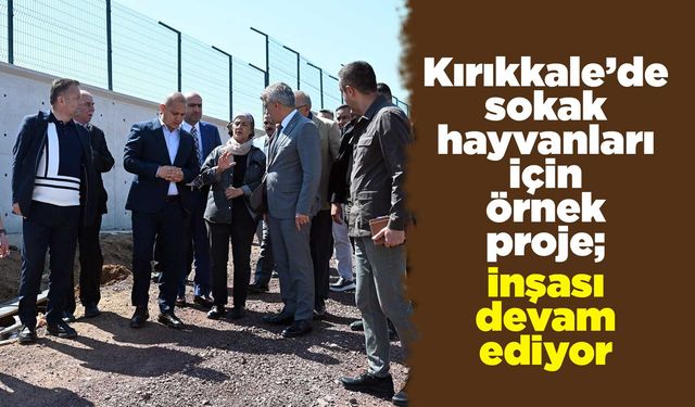 Kırıkkale’de sokak hayvanları için örnek proje; İnşası devam ediyor