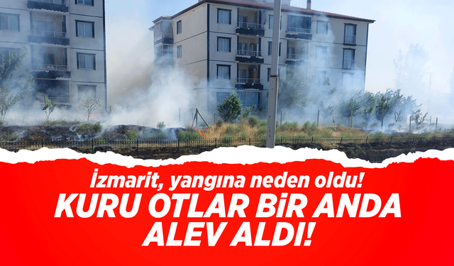 Bahçelievler Mahallesi'nde, izmarit ot yangınına neden oldu