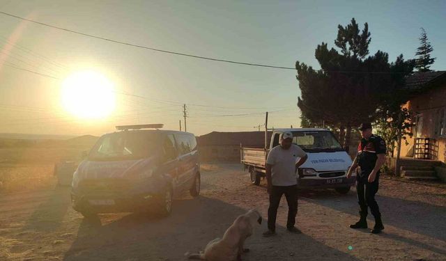 Başıboş köpek küçük çocuğu yaraladı, köpek barınağa götürüldü