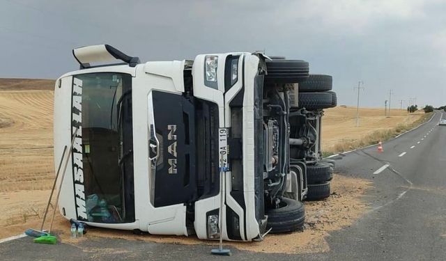 Buğday yüklü kamyon devrildi: 1 yaralı