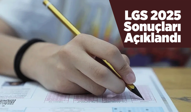 LGS 2025 Sonuçları Açıklandı: 719 Öğrenci Tüm Soruları Doğru Yanıtladı