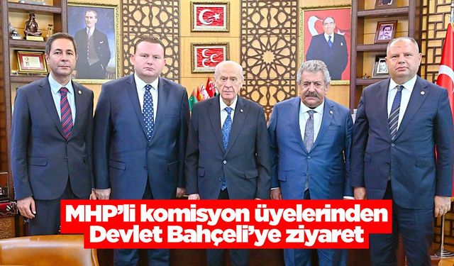 MHP’li komisyon üyelerinden Bahçeli’ye ziyaret
