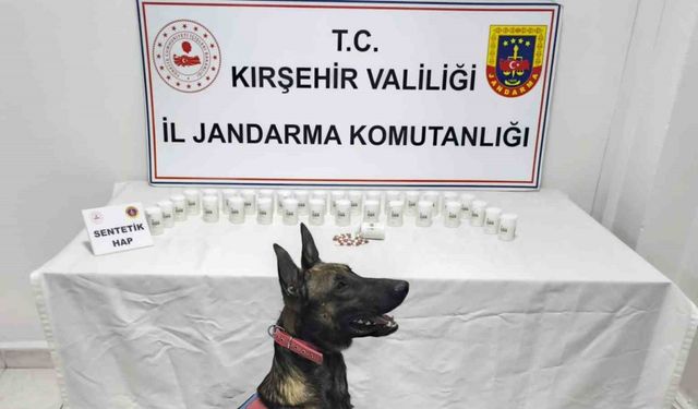 Bin 823 sentetik hap ele geçirildi: 2 gözaltı