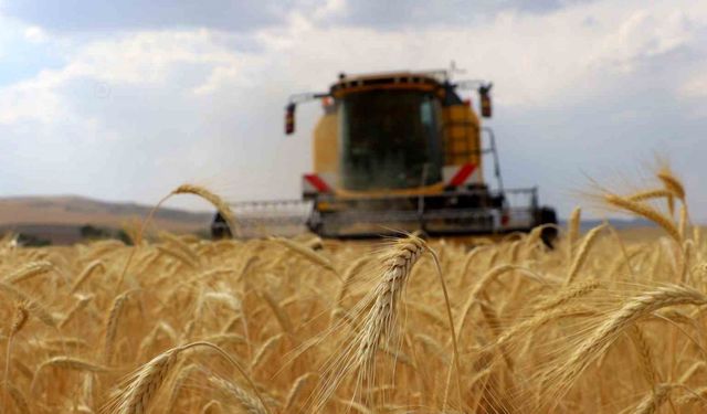 ÇKS başvuruları 1 Eylül’de başlıyor