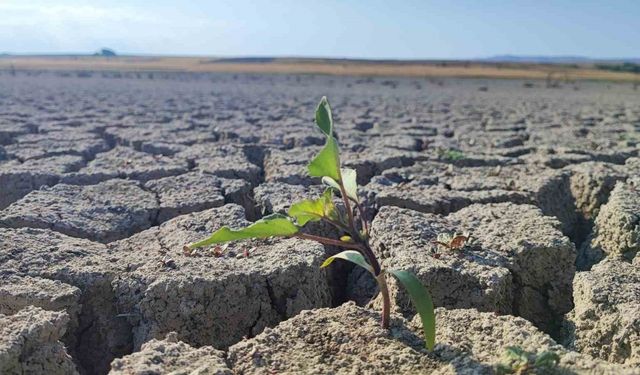 Gelingüllü Barajı’nda su çekildi, kuraklığın izleri ortaya çıktı