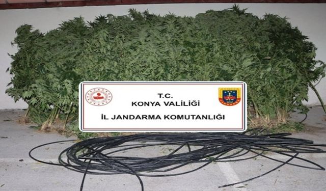 Jandarmadan uyuşturucu ve silah operasyonu