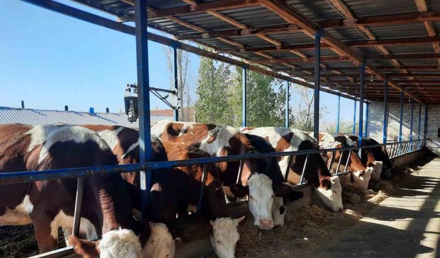 Kadınlara verilen destekler, meyvelerini vermeye başladı