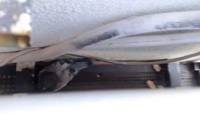 Klima havalandırmasına sıkışan güvercini itfaiye kurtardı