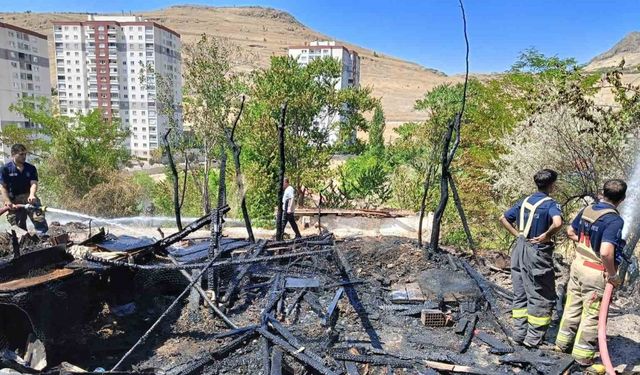 Yangında 33 kanatlı hayvan telef oldu
