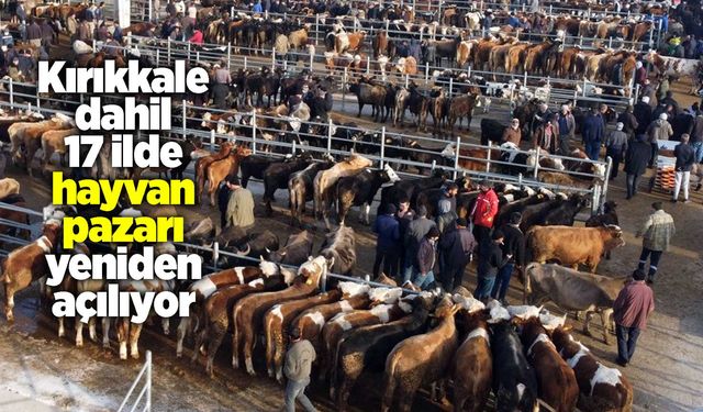 Kırıkkale dahil 17 ilde hayvan pazarı yeniden açılıyor
