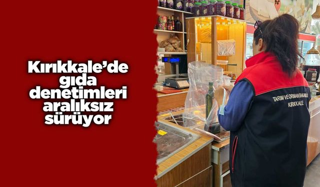 Kırıkkale’de gıda denetimleri aralıksız sürüyor