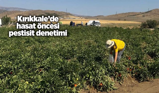 Kırıkkale’de hasat öncesi pestisit denetimi